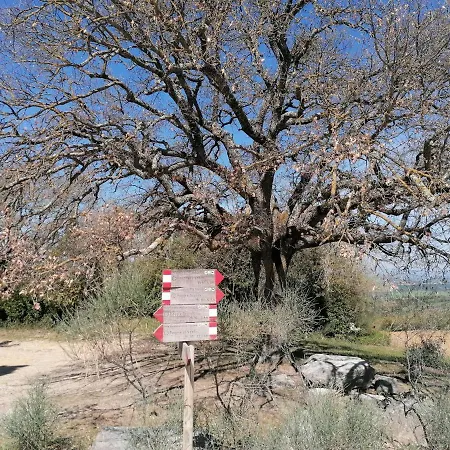 Goccia In Valdorcia Smart