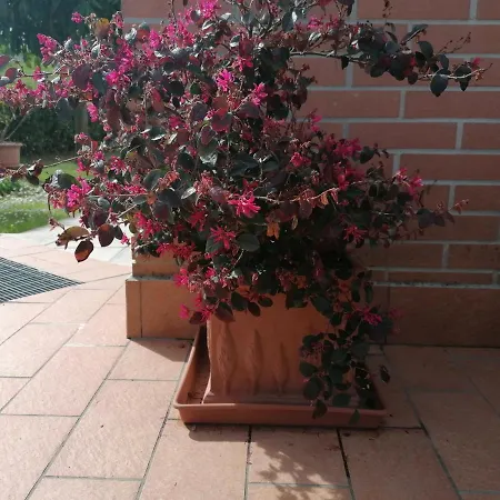 Goccia In Valdorcia Smart San Quirico dʼOrcia