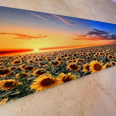 Apartmán Goccia In Valdorcia Smart San Quirico dʼOrcia