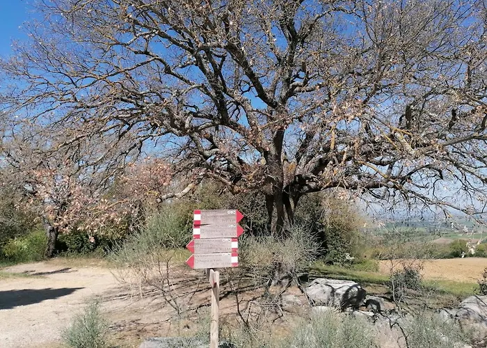 Goccia In Valdorcia Smart