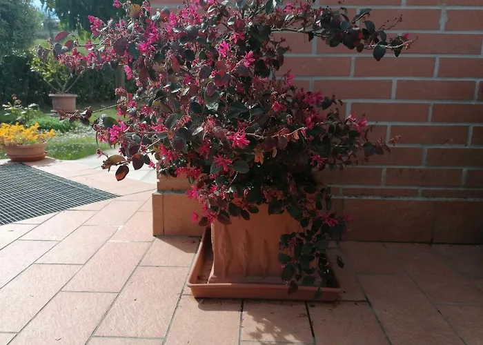 Goccia In Valdorcia Smart 圣奎里科-多尔恰